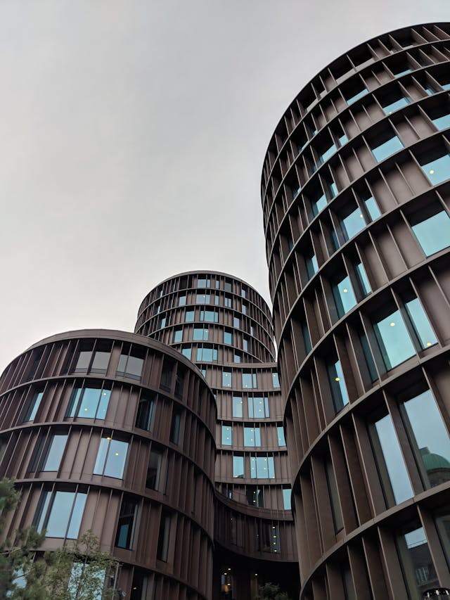 pexels-dylan-jones-618639-1413784