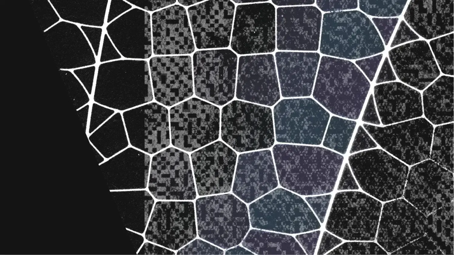 Anthropic Glass Wing Project